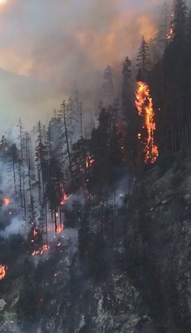 Artvin'de çıkan yangında 4 hektar orman zarar gördü 17