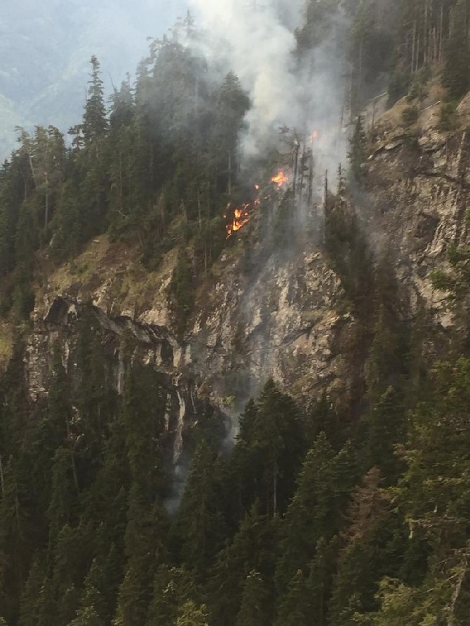 Artvin'de çıkan yangında 4 hektar orman zarar gördü 2