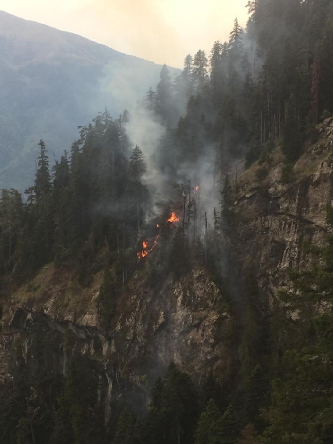 Artvin'de çıkan yangında 4 hektar orman zarar gördü 3