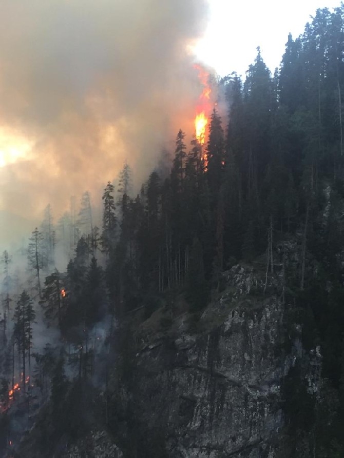 Artvin'de çıkan yangında 4 hektar orman zarar gördü 4