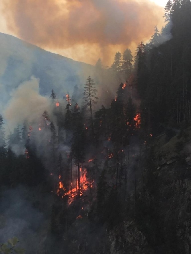 Artvin'de çıkan yangında 4 hektar orman zarar gördü 6