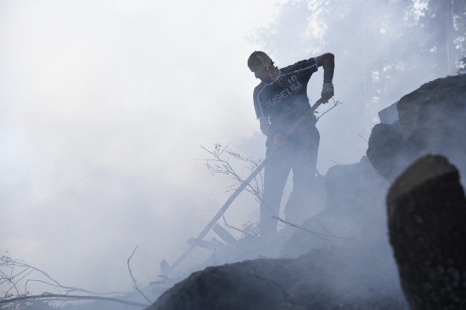 Artvin'de çıkan yangında 4 hektar orman zarar gördü 8