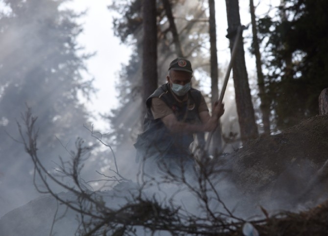 Artvin'de çıkan yangında 4 hektar orman zarar gördü 9