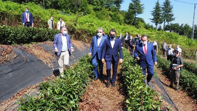 Tarım ve Orman Bakanı Pakdemirli, Rize'de 22