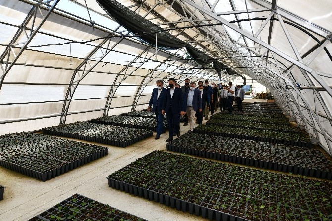 Tarım ve Orman Bakanı Pakdemirli, Rize'de 29