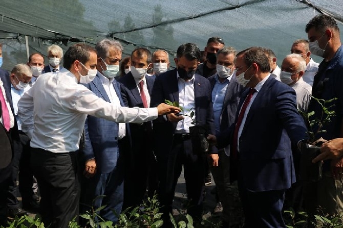 Tarım ve Orman Bakanı Pakdemirli, Rize'de 33