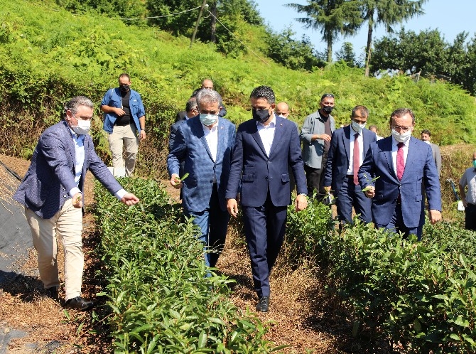 Tarım ve Orman Bakanı Pakdemirli, Rize'de 5