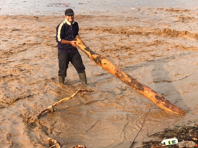 Selin sürüklediği odunları denizden kayık ile topladılar 4