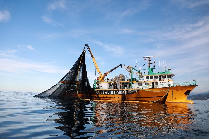 Rize'de balıkçıların yüzü palamutla güldü 13