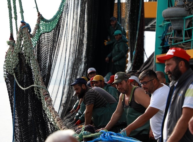 Rize'de balıkçıların yüzü palamutla güldü 14