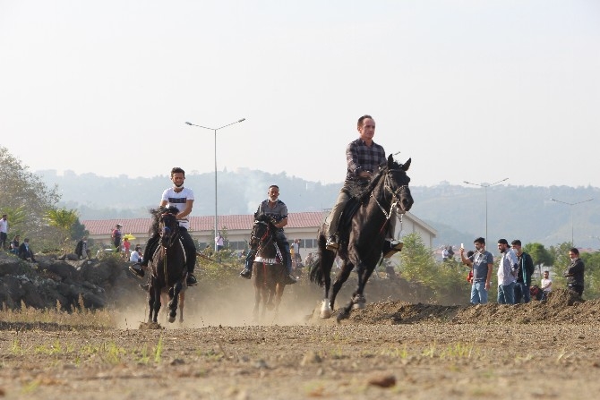 Cumhuriyet Bayramı Etkinlikleri Kapsamında At Yarışları Düzenlendi 14