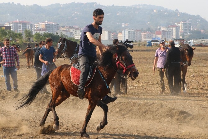 Cumhuriyet Bayramı Etkinlikleri Kapsamında At Yarışları Düzenlendi 24