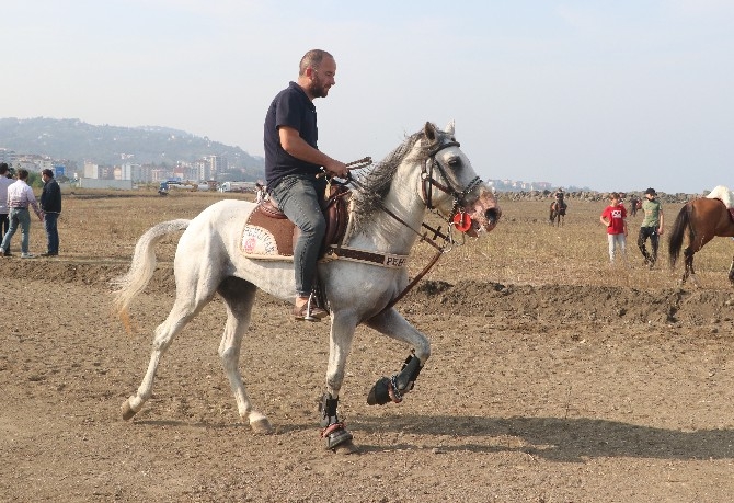 Cumhuriyet Bayramı Etkinlikleri Kapsamında At Yarışları Düzenlendi 25