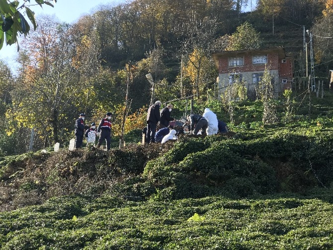 Rize'de aynı aileden 5 kişi, bir ay içinde Kovid-19 nedeniyle hayat 3