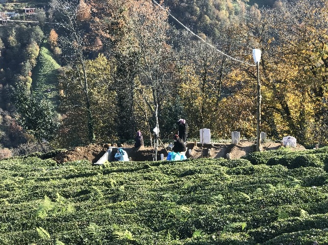 Rize'de aynı aileden 5 kişi, bir ay içinde Kovid-19 nedeniyle hayat 4