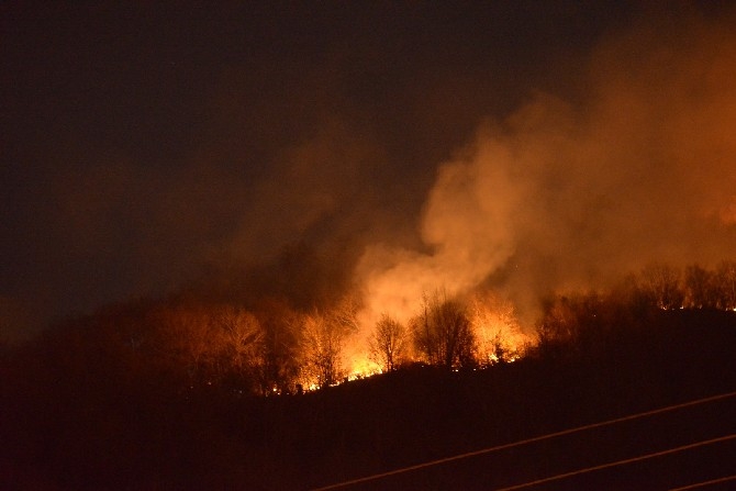 Ordu'da orman yangını 5