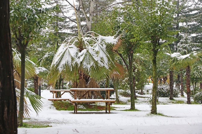 Rize'de kar yağışı etkili oldu 14