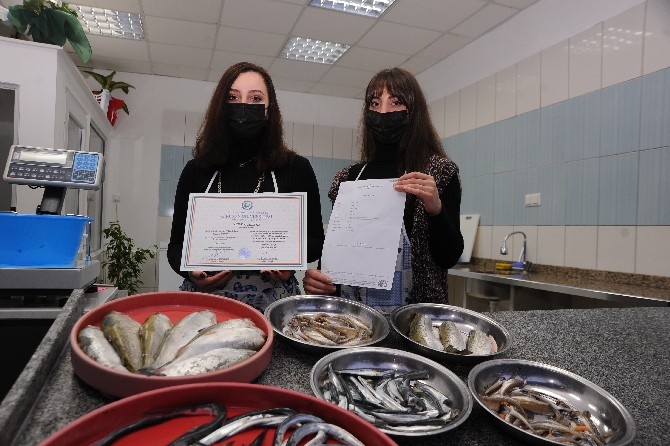 Karadenizli kız kardeşler baba mesleği balıkçılıkta iddialı 10