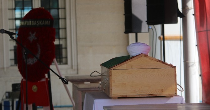 Cumhurbaşkanı Erdoğan, Hafız Nazırlı'nın cenaze namazına katıldı 13