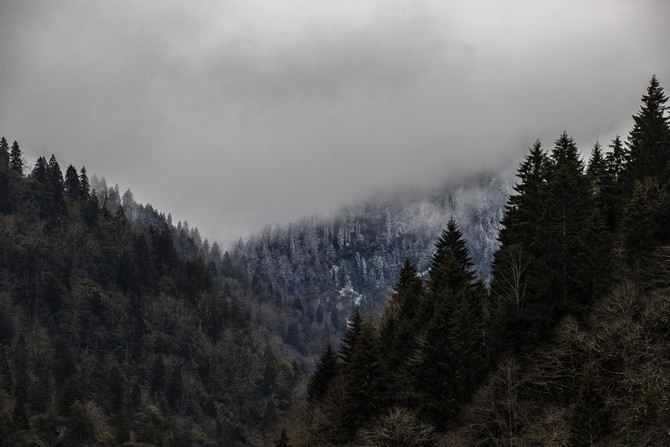 Kaçkar Dağları'nda sis ve kar yağışı 16