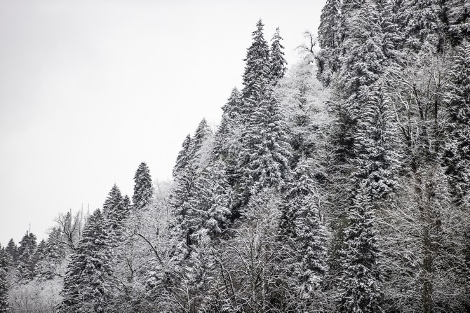 Kaçkar Dağları'nda sis ve kar yağışı 2