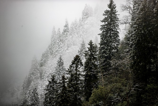 Kaçkar Dağları'nda sis ve kar yağışı 6