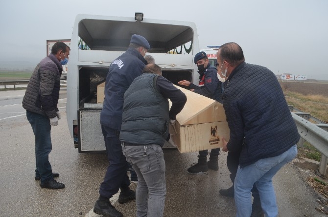 Amasya'da tır devrildi 2 ölü 13