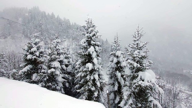 Ayder'de kar yağışı sonrası güzel görüntüler oluştu 1