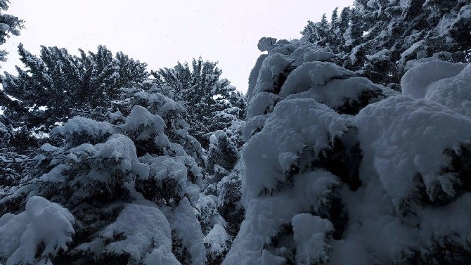 Ayder'de kar yağışı sonrası güzel görüntüler oluştu 11