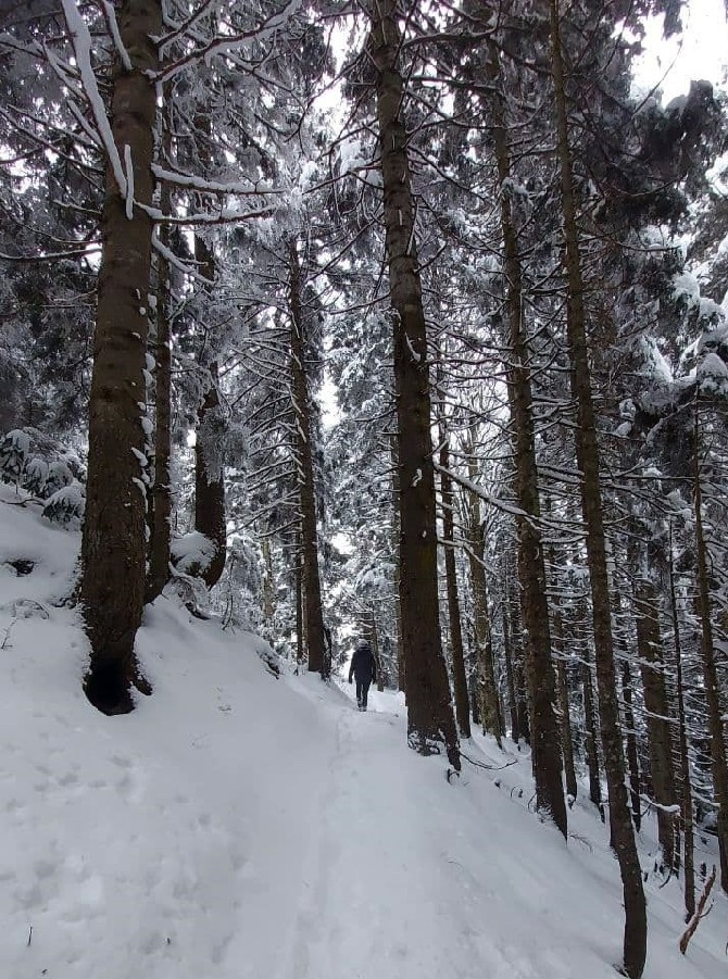 Ayder'de kar yağışı sonrası güzel görüntüler oluştu 16
