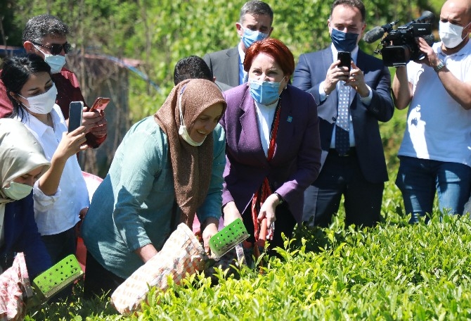 İYİ Parti Genel Başkanı Meral Akşener, Rize'de 2