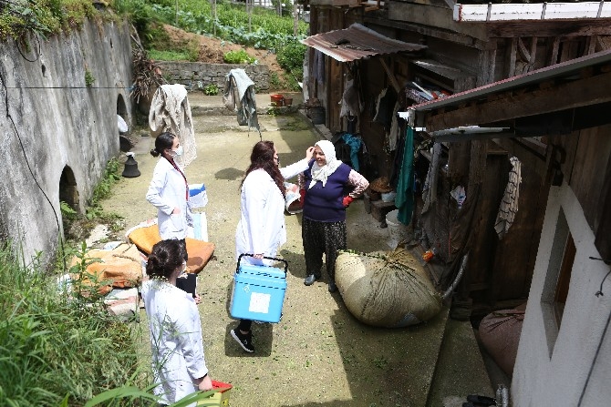 Sürmene'de aşı çalışması çay tarlalarında devam ediyor 11
