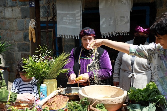 "Organik Tarım Havzası" Hemşin'de su değirmenleri yeniden 4