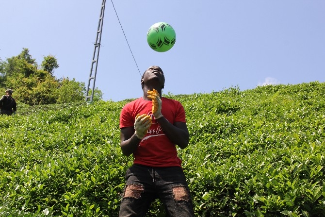 Afrikalı çay işçileri Rizespor'da futbol oynamak istiyor 1