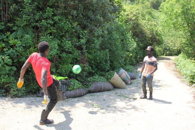 Afrikalı çay işçileri Rizespor'da futbol oynamak istiyor 7