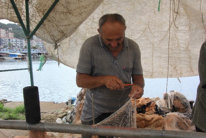 Rizeli balıkçılar av yasaklarının kalkacağı günü bekliyor 12