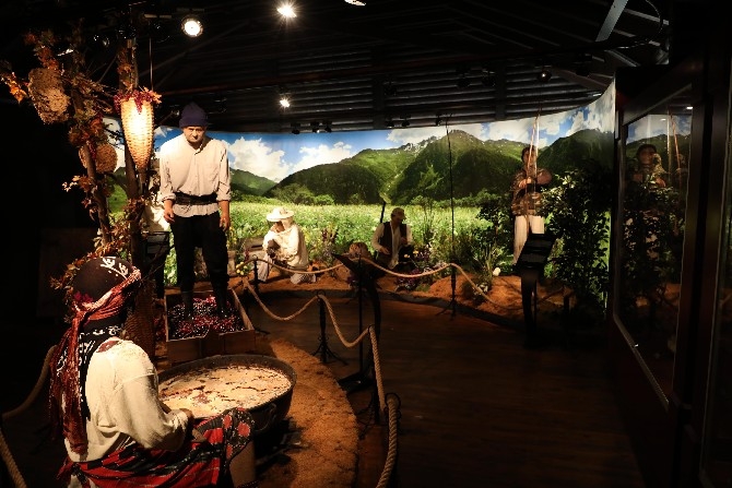 "Doğal Yaşam Müzesi" Rize'nin kültürünü gelecek kuşaklara 1