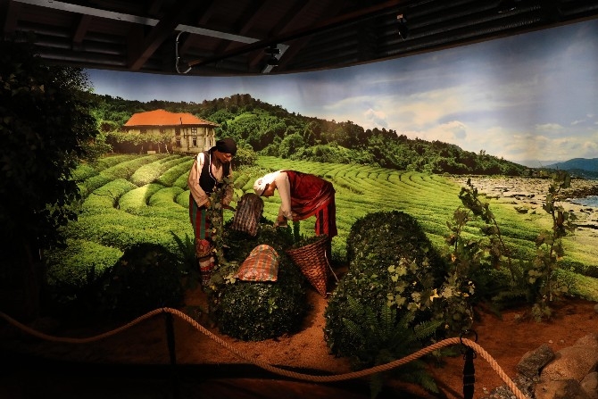 "Doğal Yaşam Müzesi" Rize'nin kültürünü gelecek kuşaklara 18