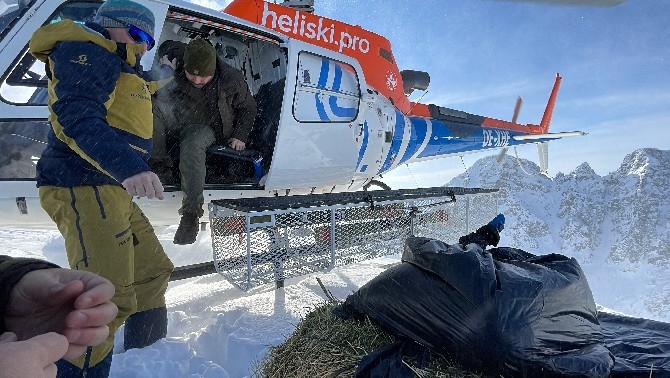 Çengel boynuzlu dağ keçileri için Kaçkarlara helikopterle yem taşındı 4