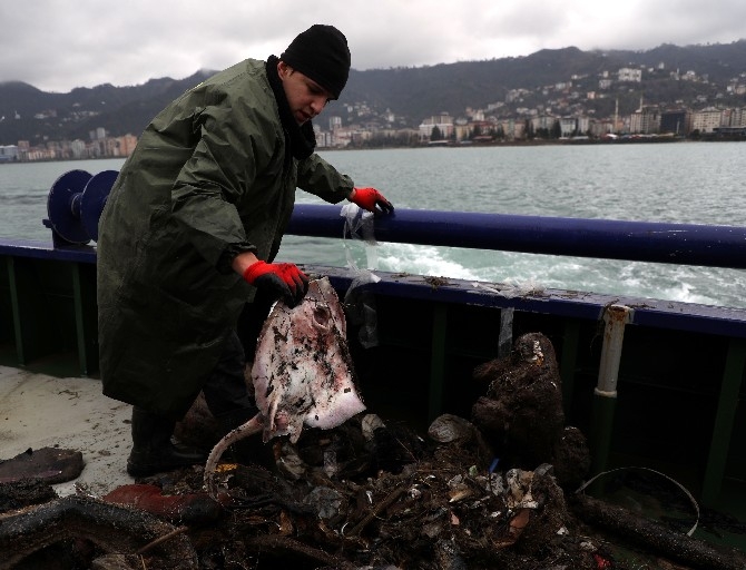 Plastik atıklar denizlerde biyoçeşitliliği olumsuz etkiliyor 18