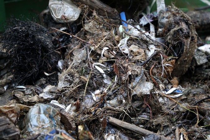 Plastik atıklar denizlerde biyoçeşitliliği olumsuz etkiliyor 21
