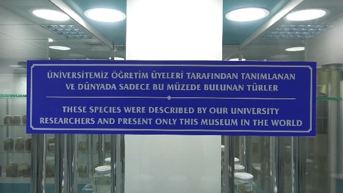 Türkiye’nin en zengin balık müzesine yurt dışından yoğun ilgi 9