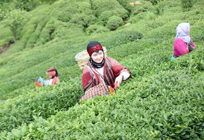 Rize'de örnek çay bahçeleri turizme katkı sağlıyor 17