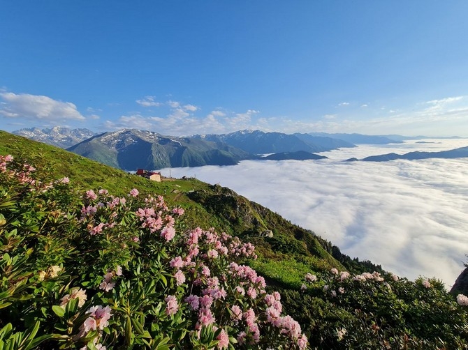 Bulutların üzerindeki Huser Yaylası doğa tutkunlarını ağırlıyor 12