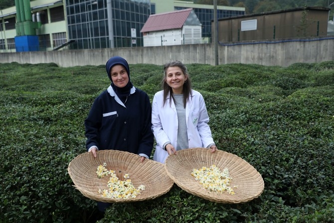 Türk çayının yeni tadı "çiçek çayı" raflarda yerini aldı 10