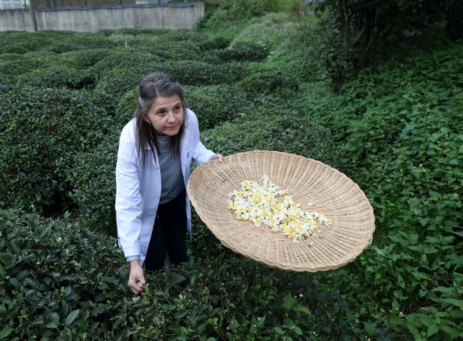 Türk çayının yeni tadı "çiçek çayı" raflarda yerini aldı 11