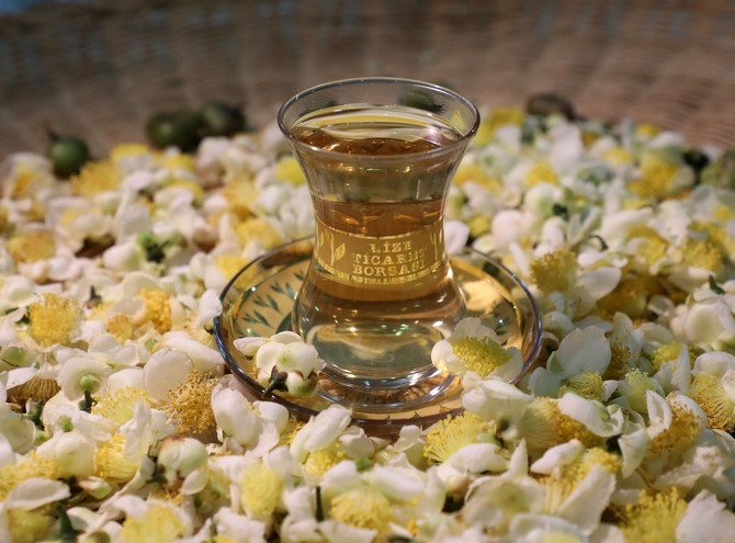Türk çayının yeni tadı "çiçek çayı" raflarda yerini aldı 6