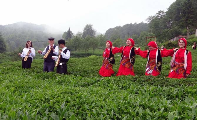 Giresun’da kemençe ve horon eşliğinde çay hasat şenliği yapıldı 11