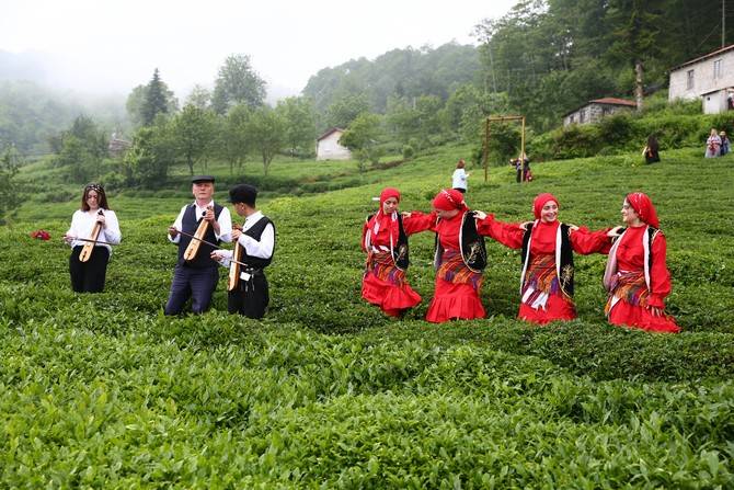 Giresun’da kemençe ve horon eşliğinde çay hasat şenliği yapıldı 14