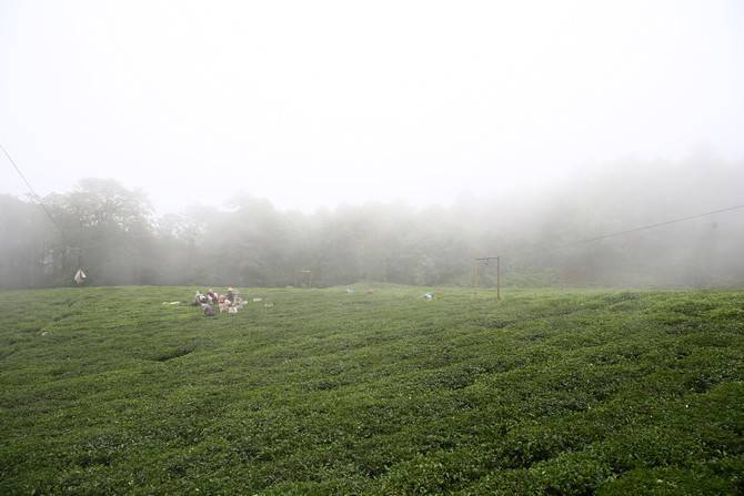 Giresun’da kemençe ve horon eşliğinde çay hasat şenliği yapıldı 15